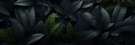 Abstract black leaf textures for tropical leaf backgrounddark nature concept with flat lay.の素材