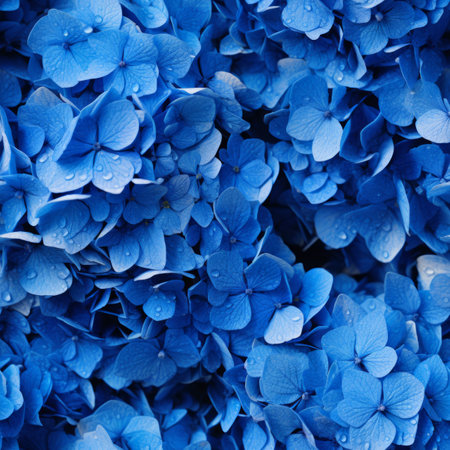 Vibrant and captivating hydrangea flower blooms seen from a mesmerizing top down perspectiveの素材