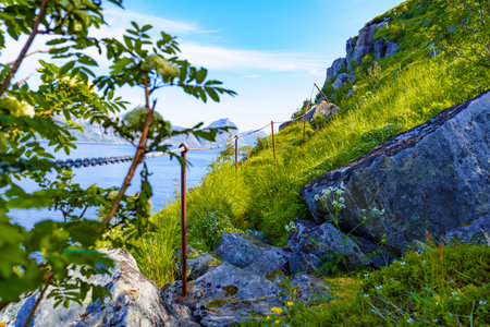 Old Wooden Ladder on Health Path Through Norwegian Mountain Landscapeの写真素材