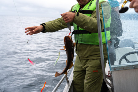 Tranquil Fishing Moment in Norway, Fisherman Unhooking Fresh Catch Outdoors