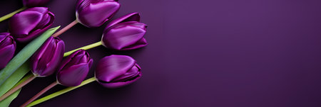 Vibrant purple tulips on the right side with ample copy space on an isolated purple background.の素材