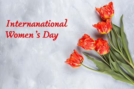 Minimalistic template for international women s day with tulips and elegant typographyの素材