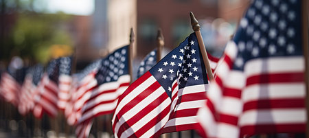 Usa memorial day  honoring the brave souls who sacrificed everything for our nation s freedomの素材