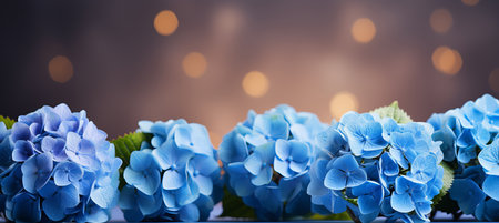 Blue hydrangea with magical bokeh background and copy space on the right side for text placementの素材