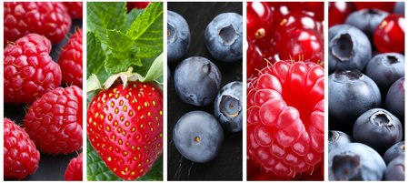 Collage of berry products with white vertical lines   divided into 7 brightly lit segmentsの素材