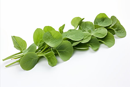 Fresh watercress on white background for striking advertisements and packaging designsの素材