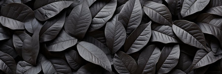 Abstract black tropical leaf textures for dark nature concept, perfect for tropical leaf background.の素材