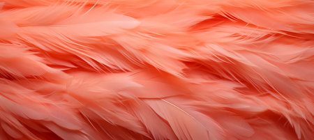 Trendy peach feather texture, apricot fluffy background, 2024 color of the year, peach fuzz.の素材