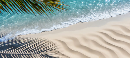Tropical palm leaf shadow on water surface and white sand beach, top view abstract backgroundの素材