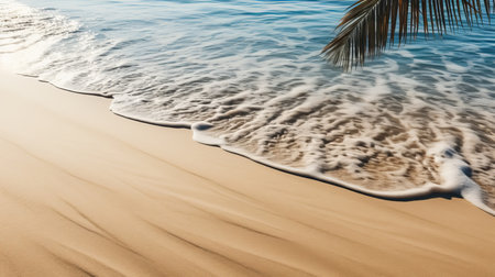 Tropical palm leaf shadow on water surface, white sand beach, abstract summer vacation backdropの素材