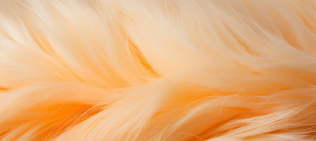 Trendy peach feather texture close up, abstract macro fluffy background, 2024 peach fuzz concept.の素材