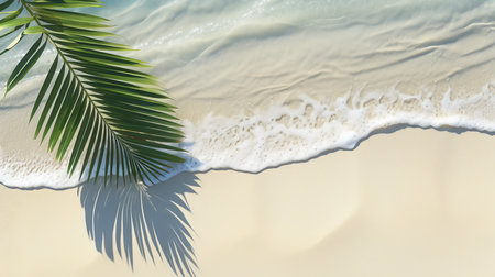Tropical palm leaf shadow on water surface of white sand beach, abstract summer vacation backgroundの素材