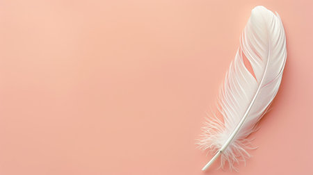 Levitating white plume on pastel background with copy space, isolated for text placementの素材