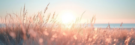 Serene summer beachscape with sand dunes, beige plants, and ethereal sunlight bokehの素材