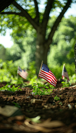 Honoring american veterans with american flags on memorial day at national cemeteryの素材