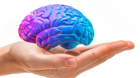 Hand holding human brain model with neuron hologram lines on white background for detailed studyの素材