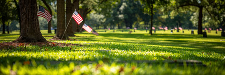 American flags adorning graves of veterans on memorial day in national cemetery with copy spaceの素材