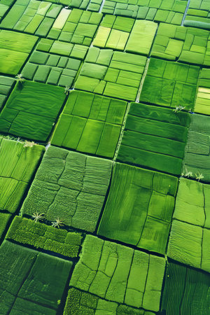 Aerial view of lush countryside with green fields and agricultural land in natural settingの素材