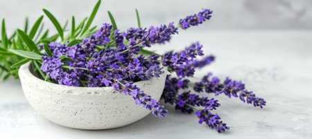 Lavender flowers in mortar on table for natural cosmetic ingredient with copy spaceの素材