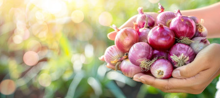 Hand holding red onion with blurred background selection, copy space for text placementの素材