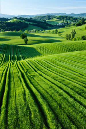 Bird s eye view of lush countryside farming landscape with green fields and agricultural landの素材