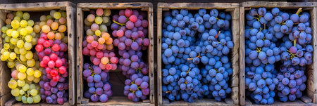 Vibrant grapes in wooden crates  cozy warehouse setting for rustic food advertisementの素材