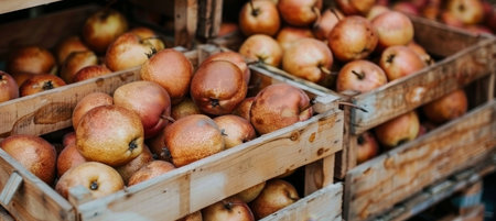 Fresh ripe pears in wooden crates  rustic warehouse setting for food advertisementの素材