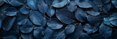 Abstract black leaf textures  dark nature concept with tropical foliage in flat lay compositionの素材