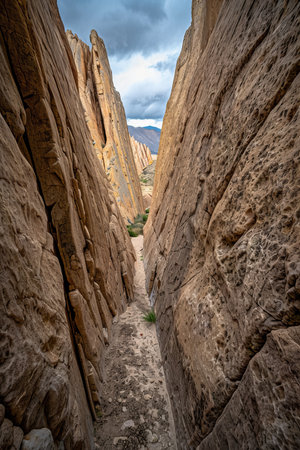 Towering Sandstone Canyons Frame a Serene Backpacking Trail Under a Dramatic Cloudy Skyの素材