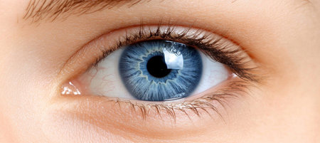 Close-up Of A Beautiful Blue Human Eye With Long Black Eyelashes, Expressing Health And Beauty.の素材