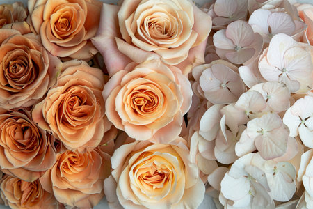 Elegant Floral Arrangement Peach Roses and White Hydrangeas in a Beautiful Floral Displayの素材