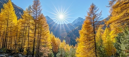 Golden Autumn Day. Sun Through Golden Larch Forest and Mountains in Background. Majestic Dolomitesの素材