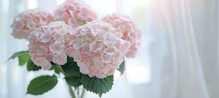 Pastel Pink Hydrangeas with Soft Focus and a Blurred Background in Minimalistic Styleの素材
