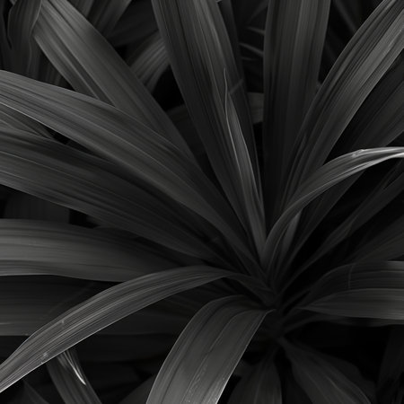 Abstract Background, Black and White Palm Leaf Pattern, Nature Texture, Tropical Designの素材