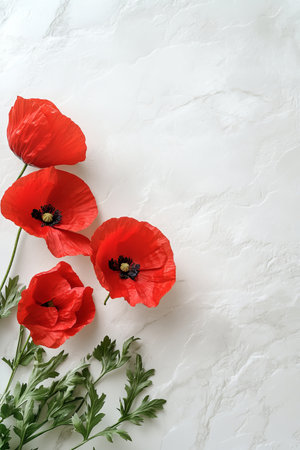 Five Vibrant Red Poppies with Delicate Green Stems, Isolated on a Textured White Backgroundの素材