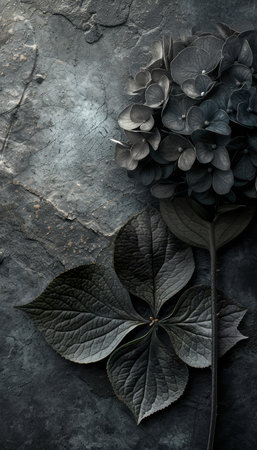 Dark Floral Photography. Moody Black and White Hydrangea Flower on Grunge Background.の素材