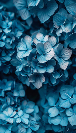 Vivid Blue Hydrangea Blooms. A Close-Up of Lush Blue Petals and Their Delicate Textureの素材