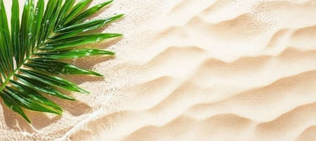 Tropical green palm leaf on white sand beach. Summer background. Flat lay, top view, copy spaceの素材