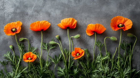 Eight Vibrant Orange Poppies with Green Stems and Buds Arranged on a Textured Gray Backgroundの素材