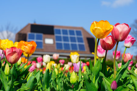 Spring solar energy concept with beautiful tulips in the foregroundの写真素材