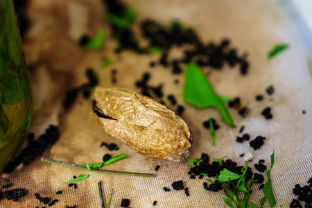 Dried butterfly pupa on a wooden table with scattered tea leavesの写真素材