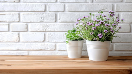Purple flowers and green herb in white flower pots on a wooden table against a white brick wallの素材