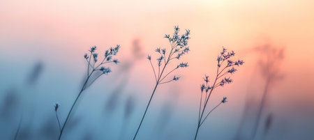 Silhouettes of Delicate Wildflowers Against a Soft Pastel Sunset, Minimalist Nature Serenityの素材