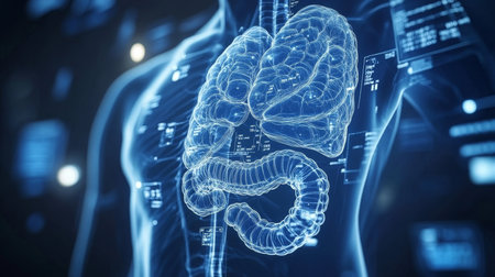 3D Illustration of Human Digestive System Anatomy on Blue Medical Background, Healthcare Conceptの素材