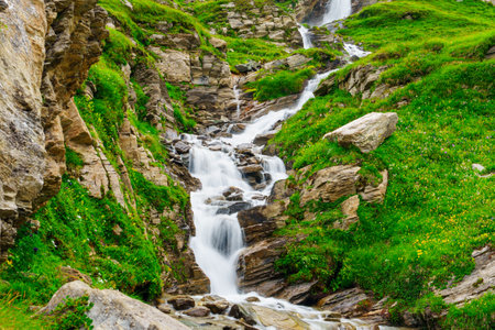 Breathtaking Swiss Alps Waterfall Cascading Over Rocks Surrounded by Lush Greenery and Flowersの写真素材