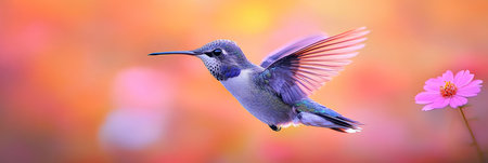 Hummingbird in Pastel Paradise,,Beauty of Nature,Wildlife Photography, Delicate Hummingbirdの素材