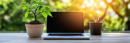 Laptop Computer, Potted Plant, and Pencil Holder on a Wooden Desk with a Tranquil Green Backgroundの素材