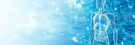 3D Rendering Human Digestive System Anatomy on a Medical Blue Background with Neural Network Meshの素材