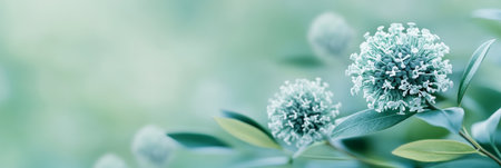Serene Natural Background, Pastel Green Floral Pattern with Delicate Spherical Flowers in Bloomの素材