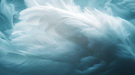 Soft, Dreamy Teal Background, Beautiful White Feathers in Gentle Composition, Elegant Textureの素材